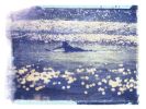 Glitter | Photography by She Hit Pause. Item made of paper