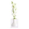 Walker Vase | Vases & Vessels by JR William. Item composed of synthetic