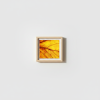 Golden Memory — Abstract Botanical Photography Print | Photography by Ava Bock Art