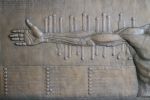 Anatomical Arm Relief Sculpture- Bronze edition 3/25 | Wall Sculpture in Wall Hangings by dellsculpture