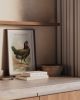 Vintage White Hen Rooster Art, Vintage Chicken Art, Vintage | Prints in Paintings by Capricorn Press. Item composed of paper compatible with boho and minimalism style