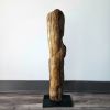 Driftwood Art Sculpture "The Lepidote" | Sculptures by Sculptured By Nature  By John Walker. Item composed of wood in minimalism style