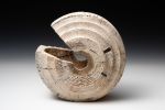 Ash - Wheel Series | Decorative Objects by Louis Wallach Designs. Item made of wood compatible with contemporary style
