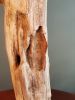 Driftwood Sculpture "Statuesque" with Travertine Base | Sculptures by Sculptured By Nature  By John Walker. Item composed of wood in minimalism style