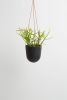 Block Color Hanging Planter | Vases & Vessels by Capra Designs