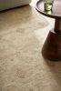 Agora | Rugs by District Loom