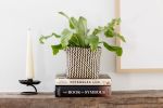 6" Bird's Nest Fern + Basket | Planter in Vases & Vessels by NEEPA HUT. Item composed of wood