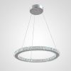 AM6119 Circle | Chandeliers by Alan M