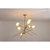 Alan Mizrahi WM549 Harlow | Chandeliers by Alan Mizrahi Lighting Design