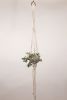 Triangle Plant Hanger | Plants & Landscape by Modern Macramé by Emily Katz. Item made of cotton