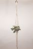 Triangle Plant Hanger | Plants & Landscape by Modern Macramé by Emily Katz. Item made of cotton
