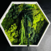 Hexagon Botanical Gardens | Wall Sculpture in Wall Hangings by Moss Art Installations