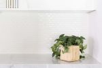 6" Satin Pothos + Planter Basket | Vases & Vessels by NEEPA HUT. Item composed of fiber