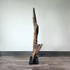 Driftwood Sculpture "Caymen Strait" | Sculptures by Sculptured By Nature  By John Walker. Item made of wood works with minimalism style