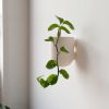 Bender Wall Planter | Vases & Vessels by Misewell
