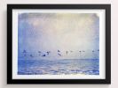 Surfers + Pelicans | Photography by She Hit Pause. Item composed of paper
