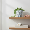Studio Line Muse Planter | Decorative Objects by RAW & UNIQ