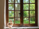 The organic Buste vase Éclat ambré 6 | Vases & Vessels by Laura Dujoncquoy