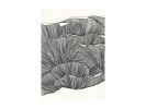 Oyster Mushroom Art Print, Line Drawing Abstract Art | Prints by Carissa Tanton. Item made of paper