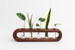 Ovate propagation station | Planter in Vases & Vessels by Almon Woodcraft