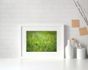 Photograph • Grass, Raindrops, Macro Photography | Photography by Honeycomb. Item composed of metal and paper