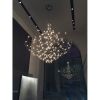 AM3040 Baxter Suspension Lamp | Pendants by Alan M