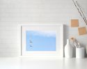 Photograph • Trumpeter Swans, PNW, Oregon, Bird Photography | Photography by Honeycomb. Item composed of metal and paper in minimalism style