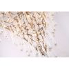 Alan Mizrahi QZ305 Aqua Branch | Chandeliers by Alan Mizrahi Lighting Design