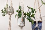 Sample Plant Hangers | Plants & Landscape by Modern Macramé by Emily Katz. Item composed of cotton and brass