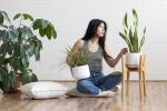 Arcus plant stand | Plants & Landscape by Almon Woodcraft