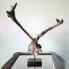 Driftwood Art Sculpture "Jackalope" | Sculptures by Sculptured By Nature  By John Walker. Item made of wood compatible with minimalism style