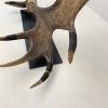 Moose Paddle Sculpture | Sculptures by Farmhaus + Co.. Item made of wood