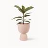 Blush Stacked Planters | Vases & Vessels by Franca NYC. Item made of ceramic compatible with boho and minimalism style