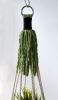 Tassel-Free Macrame Plant Hanger – Apple Green – 26” Hand-Dyed Indoor Planter | Plants & Landscape by Freefille