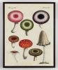Mushroom Wall Art, Mushroom Art, Antique Victorian Mushroom | Prints by Capricorn Press. Item composed of paper compatible with boho and minimalism style