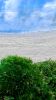 Abandoned Beach Art By Moss Art Installations | Decorative Frame in Decorative Objects by Moss Art Installations