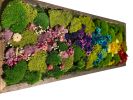 Living Moss Wall Art Dried Flower Bouquet - Wedding Flower | Living Wall in Plants & Landscape by Sarah Montgomery