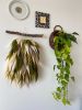 Green hand woven wall hanging tapestry | Wall Hangings by Awesome Knots. Item made of cotton with fiber