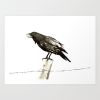 Raven's Call | Prints by Brazen Edwards Artist. Item composed of canvas and paper