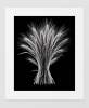 EXPOSED AUTUMN — WHEAT BUNDLE | Decorative Objects by Exposedart