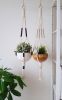 Minimalist Architectural Macrame Plant Hanger – 35” Handmade Indoor Planter | Plants & Landscape by Freefille