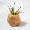 GEORGIA White Oak Air Plant Holder | Planter in Vases & Vessels by Untitled_Co