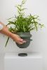 Bud Planter | Vases & Vessels by Capra Designs