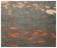 Beneath the water lilies | Photography by Louise O'Gorman