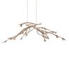 Alan Mizrahi DV2212 Stella Fiori | Chandeliers by Alan Mizrahi Lighting Design