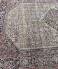 GENUINE Old-World Antique Beauty - Soft Eggshell Beige | Area Rug in Rugs by The Loom House. Item composed of wool & fiber