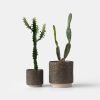 Kolo (Gloopy) Planter - 2 sizes | Vases & Vessels by Misewell