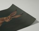 The Hare | Prints by The Ugly Cat Studio