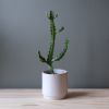 Kolo Planter - 2 sizes | Vases & Vessels by Misewell