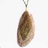 Madagascar Wild Silk Cocoon Ornament - Green | Decorative Objects by Tanana Madagascar